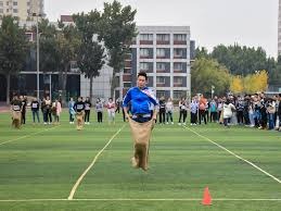 2024年君品习酒中国围棋团体赛圆满落幕